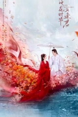 落花时节又逢君2025