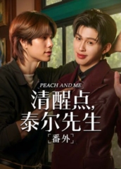 清醒点泰尔先生番外篇